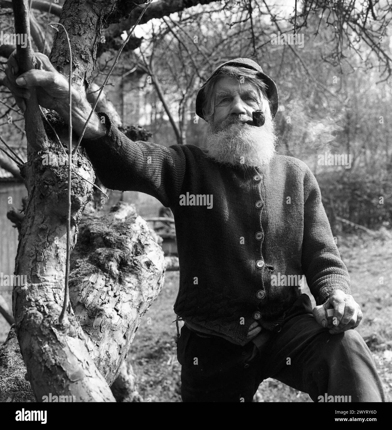 Il vecchio di nome Joe Morris che fuma pipa a Linley Brook vicino a Broseley Shropshire 1973. FOTO DI DAVID BAGNALL gentleman Britain British Foto Stock