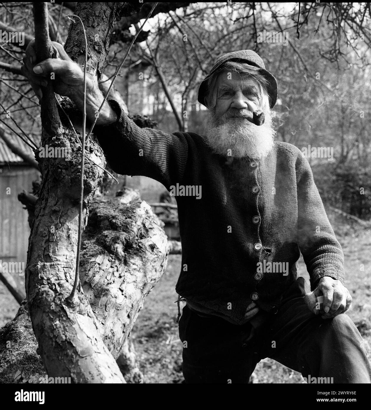 Il vecchio di nome Joe Morris che fuma pipa a Linley Brook vicino a Broseley Shropshire 1973. FOTO DI DAVID BAGNALL gentleman Britain British Foto Stock