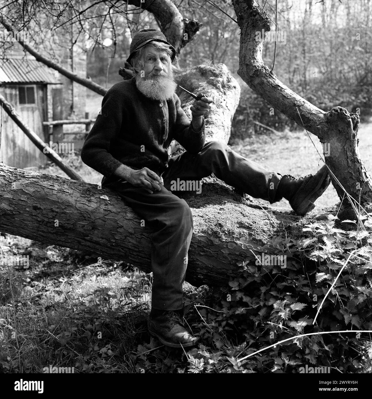 Il vecchio di nome Joe Morris che fuma pipa a Linley Brook vicino a Broseley Shropshire 1973. FOTO DI DAVID BAGNALL gentleman Britain British Foto Stock