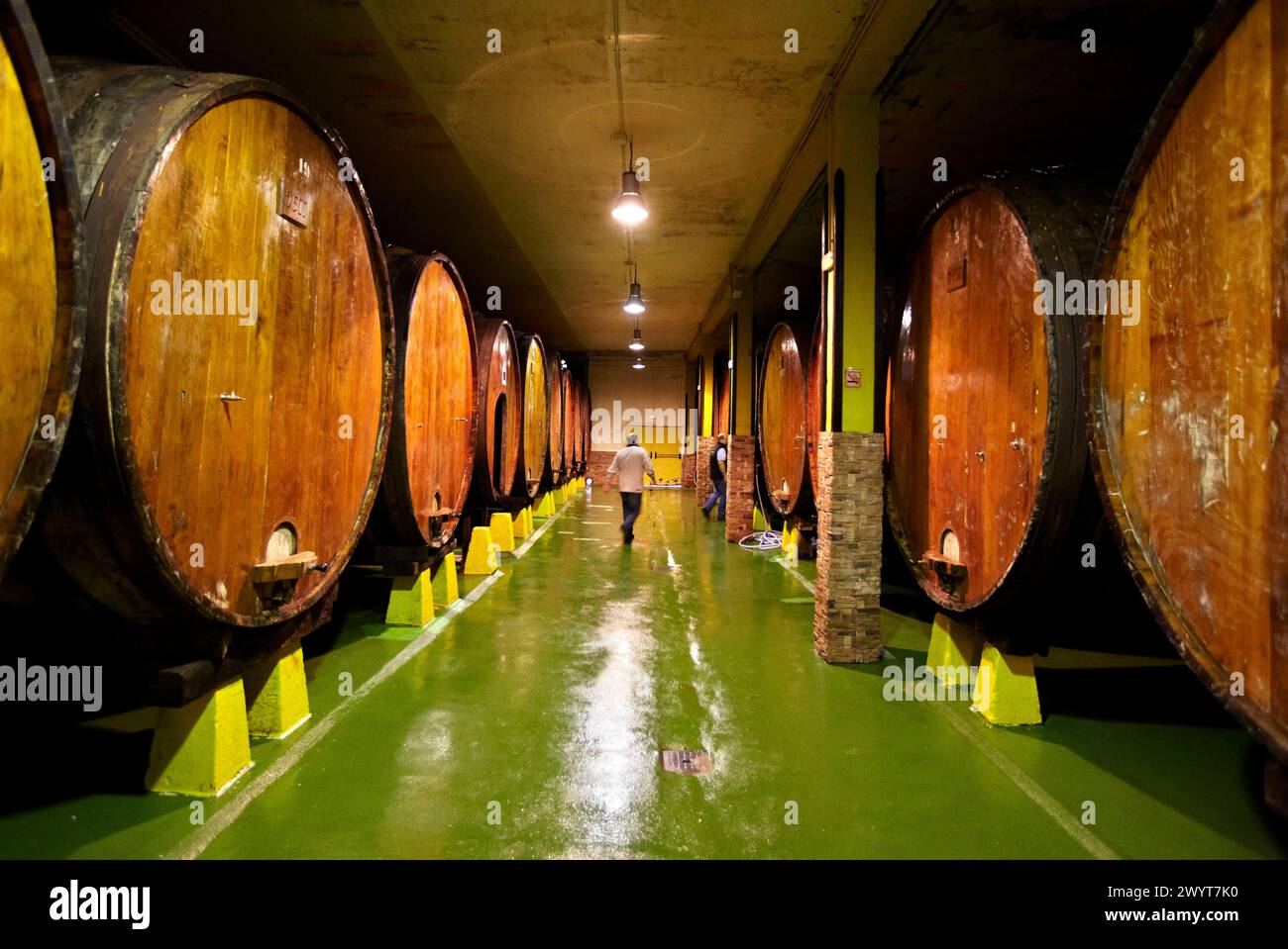 Botti di «Kupela», Petritegi tipica casa di sidro («sagardotegi»), Astigarraga, Gipuzkoa, Euskadi, Spagna. Foto Stock