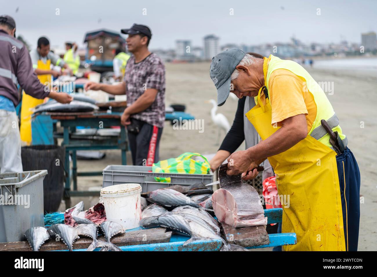 Fishmarket, Tarqui Beach, Manta, Manabi, Ecuador Foto Stock