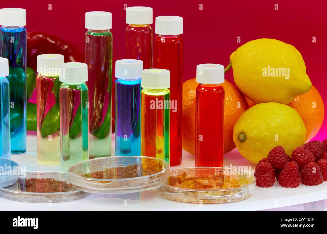 I composti bioattivi dell'industria alimentare estratti da materie prime e sottoprodotti dell'industria alimentare ottenuti con l'impiego di coloranti per apparecchiature ASE, licopene e sostanze antiossidanti possono essere isolati da frutta e verdura per essere incorporati in alimenti trasformati le applicazioni comprendono il miglioramento delle proprietà nutrizionali per l'industria alimentare, laboratorio di biotecnologia, industria alimentare, unità di salute, Centro tecnologico, Tecnalia Research & Innovation, Miñano, Alava, Paesi Baschi, Spagna. Foto Stock