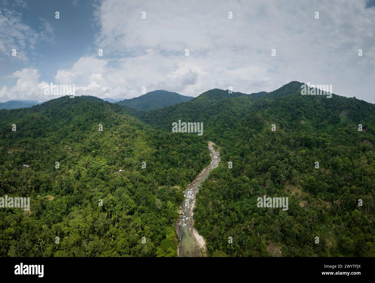 Vista aerea del paesaggio, Cotundo, provincia di Napo, Amazzonia, Ecuador Foto Stock