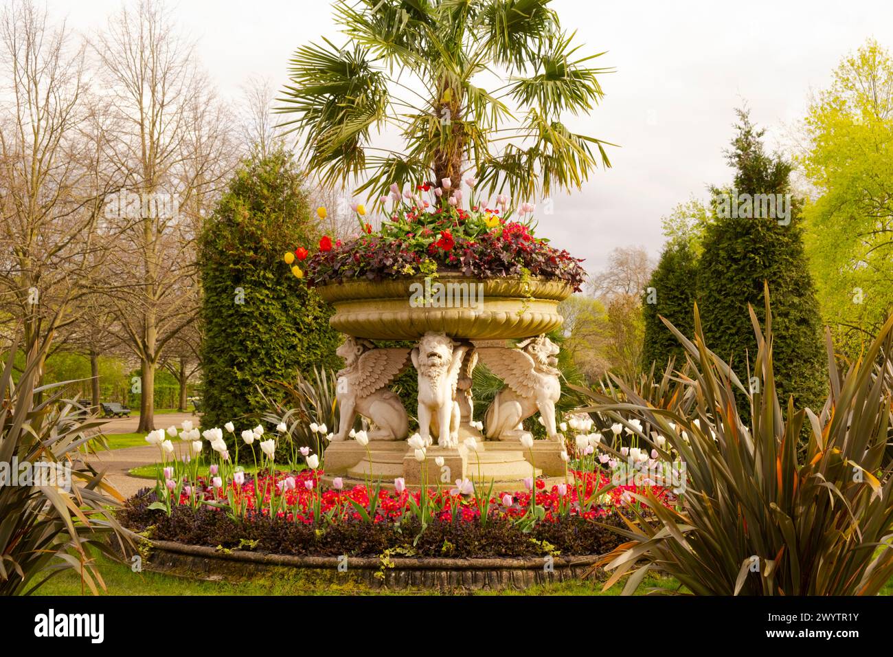 Il Grifone tazza o vaso di Leone decorato con leoni alati scolpiti e piantato con Tulipa, Primula, Huechera e una palma da ventaglio nei giardini di Avue a Regent' Foto Stock