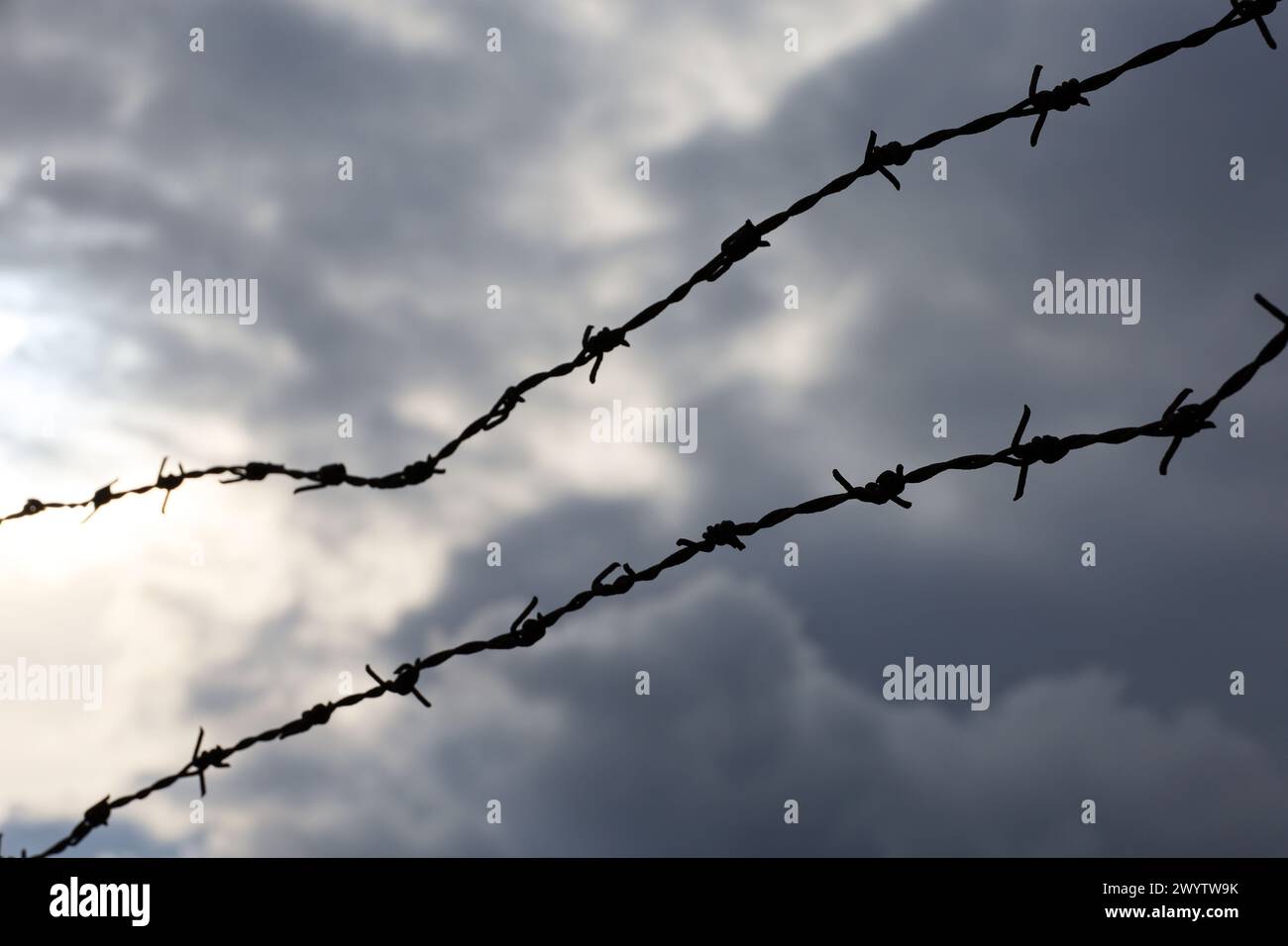 Silhouette di filo spinato arrugginito contro il cielo spettacolare con nuvole scure. Contesto per la prigione, la guerra o l'immigrazione Foto Stock