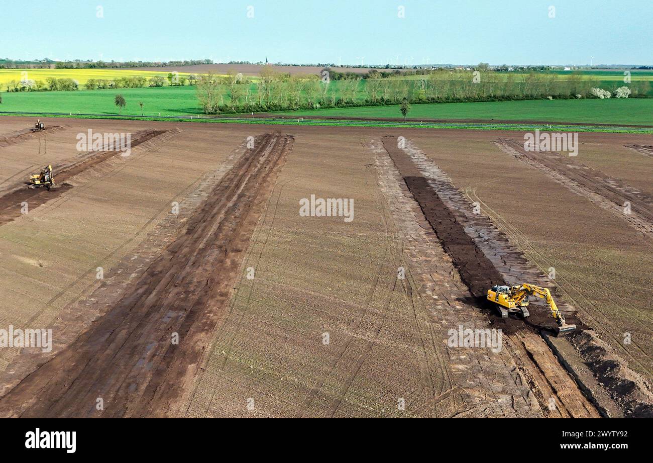 Intel Baustelle Bagger principiante mit Bauvorbereitungen zur Baustellenzufahrt an der L 50 an der zukünftigen Baustelle von Intel a Magdeburgo. DAS Land Sachsen-Anhalt finanziert den Ausbau von zwei Baustellenzufahrten von der Landesstraße L 50 auf das Intel-Gelände, 08.04.2024. Magdeburg Sachsen-Anhalt Deutschland *** gli escavatori Intel per cantieri iniziano i preparativi per la strada di accesso al cantiere sulla L 50 presso il futuro cantiere Intel a Magdeburgo lo stato della Sassonia-Anhalt sta finanziando l'espansione di due strade di accesso al cantiere dall'autostrada L 50 all'Intel Foto Stock