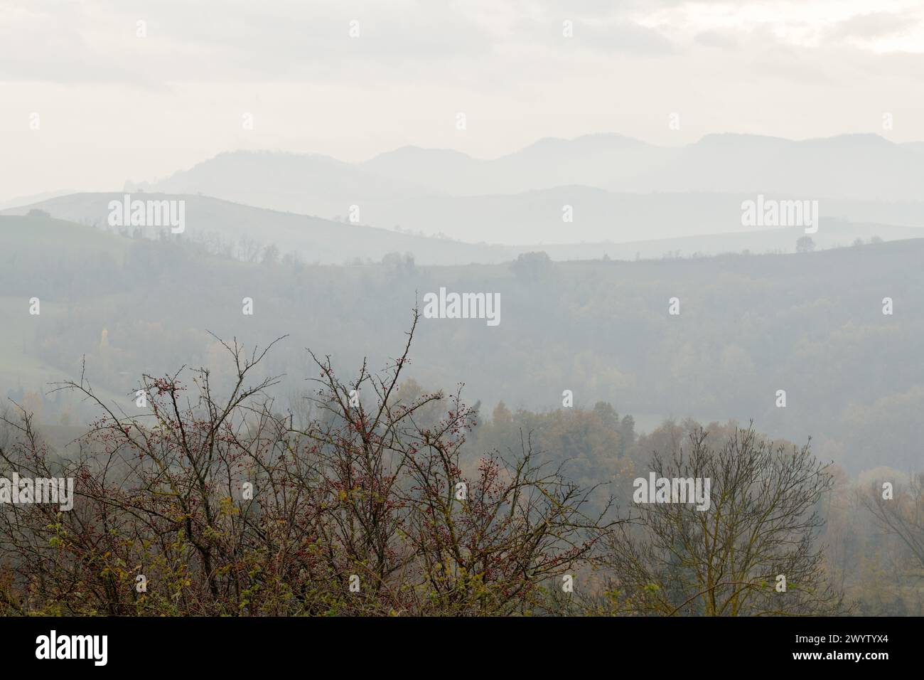 Colline e montagne nebbiose. Speroni dell'Appennino vicino Bologna, Emilia-Romagna, Italia Foto Stock