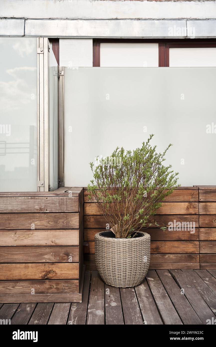 Una vibrante pianta in vaso dà vita a un tranquillo ponte in legno, creando uno spazio all'aperto tranquillo e invitante Foto Stock
