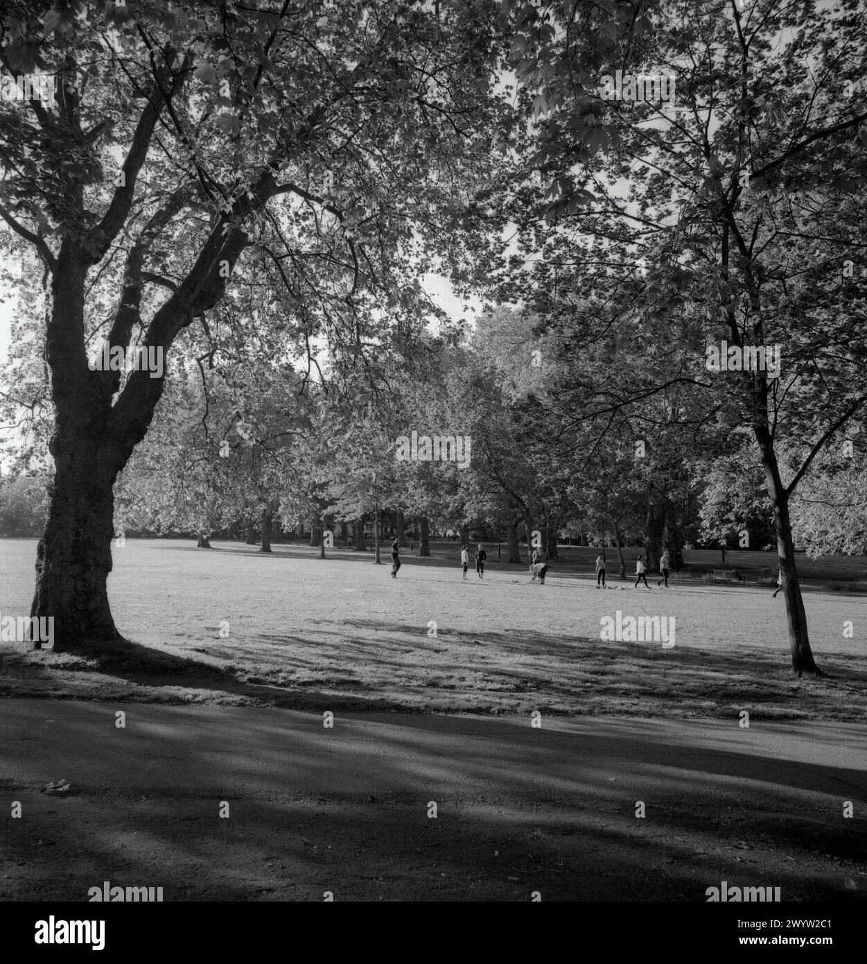 A soli pochi metri dai negozi e dai ristoranti di Upper Street e Holloway Road si trova la struttura pubblica gemma di Islington Borough Council con una varietà di alberi nei campi Highbury, situati in una delle località più costose del quartiere. In tutte le condizioni atmosferiche, attrae gite in famiglia per picnic e barbecue, gruppi sportivi, camminatori di cani, corridori e persino una piccola attrazione annuale per la fiera. Foto Stock