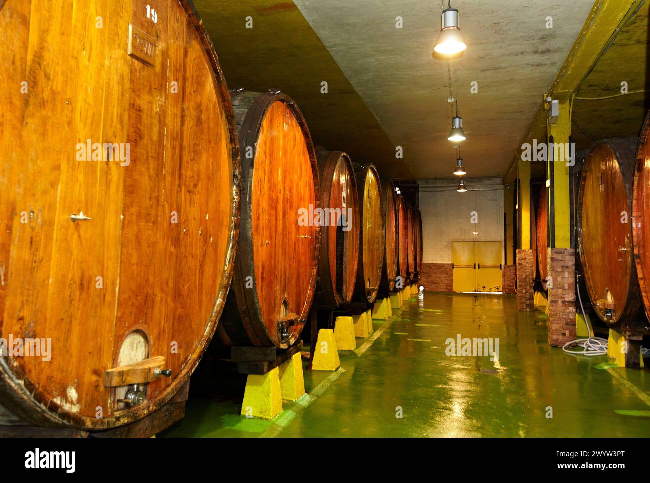 Botti di «Kupela», Petritegi tipica casa di sidro («sagardotegi»), Astigarraga, Gipuzkoa, Euskadi, Spagna. Foto Stock