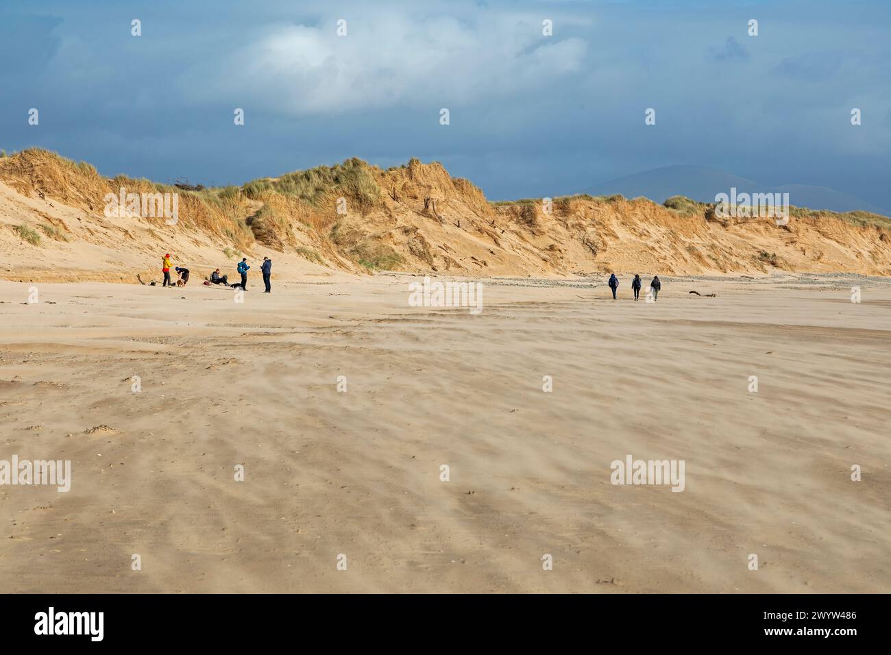 Vento che soffia sabbia sulla spiaggia, persone, nuvole, LLanddwyn Bay, Newborough, Anglesey Island, Galles, Gran Bretagna Foto Stock