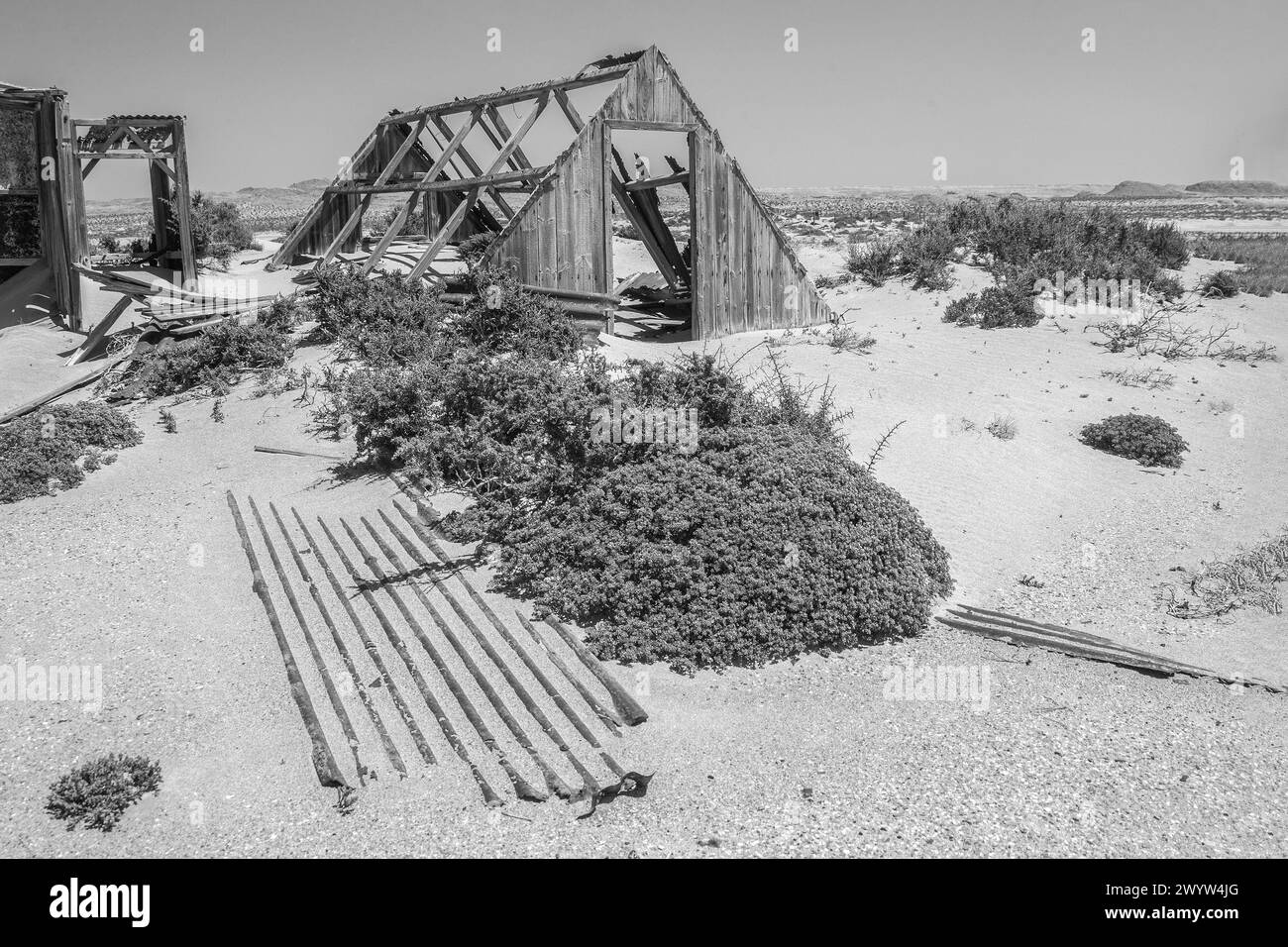 Outhouse triangolare, vegetazione desertica e materiale arrugginito per tetti nella città mineraria di Bogenfels, Namibia. BIANCO E NERO Foto Stock