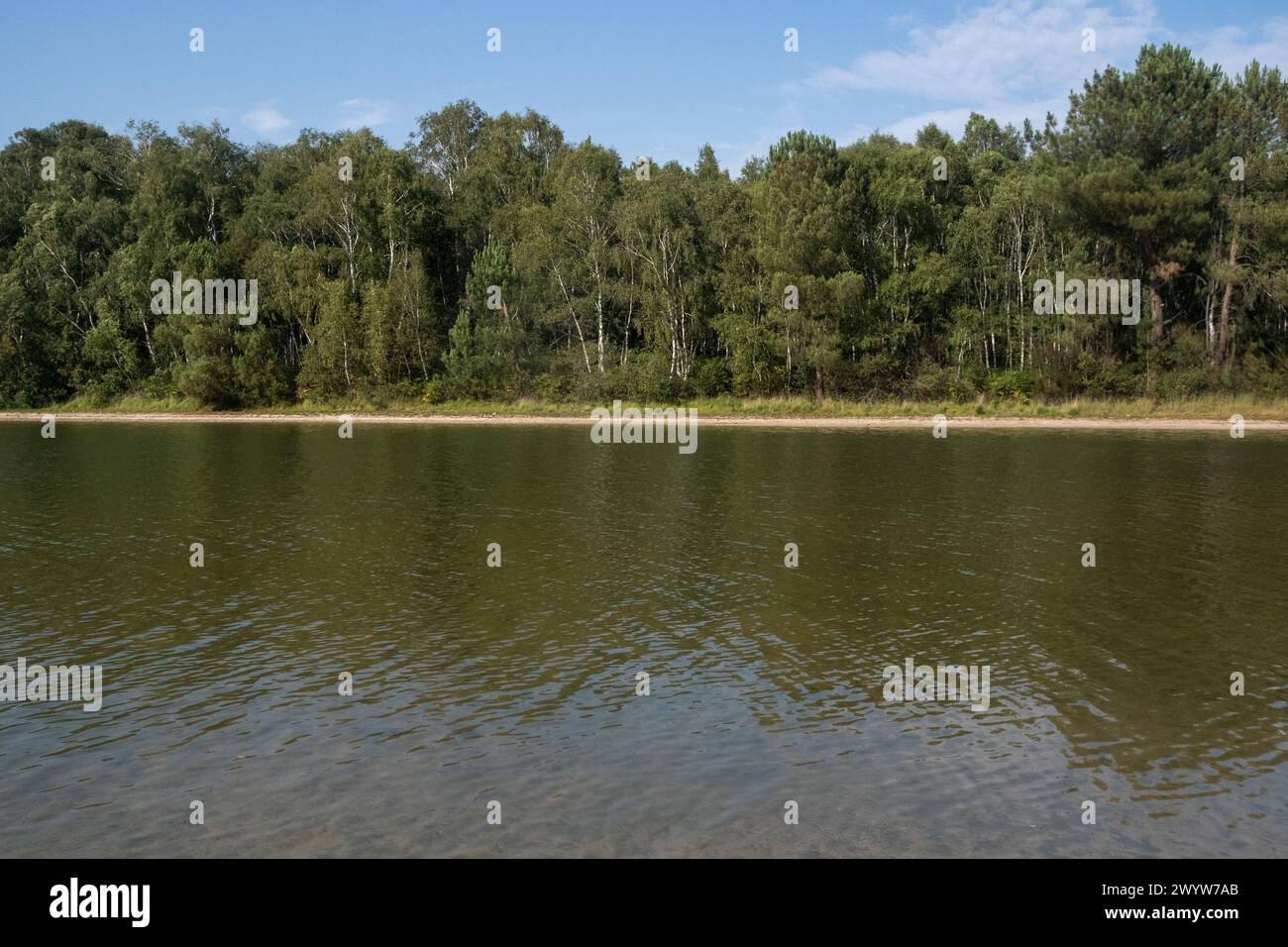 Il parco divertimenti Etang de Malague durante l'ondata di caldo estiva nel Maine-et-Loire il 19 luglio 2022. Base de loisirs de l'etang de Malague, durant la canicu Foto Stock