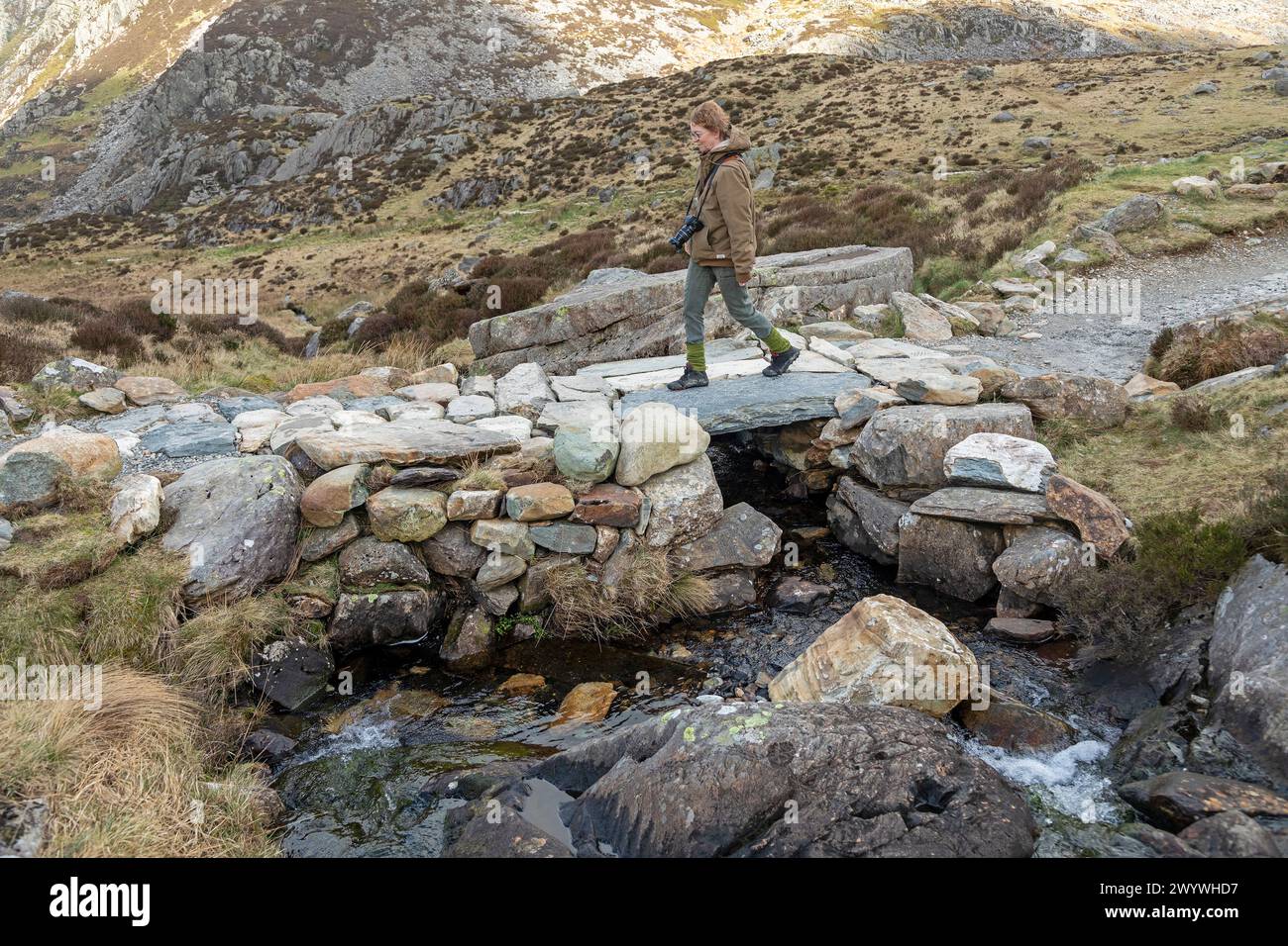 Donna che cammina attraverso il ponte di pietra, il sentiero Llyn Idwal, il parco nazionale Snowdonia vicino a Pont Pen-y-benglog, Bethesda, Bangor, Galles, Gran Bretagna Foto Stock