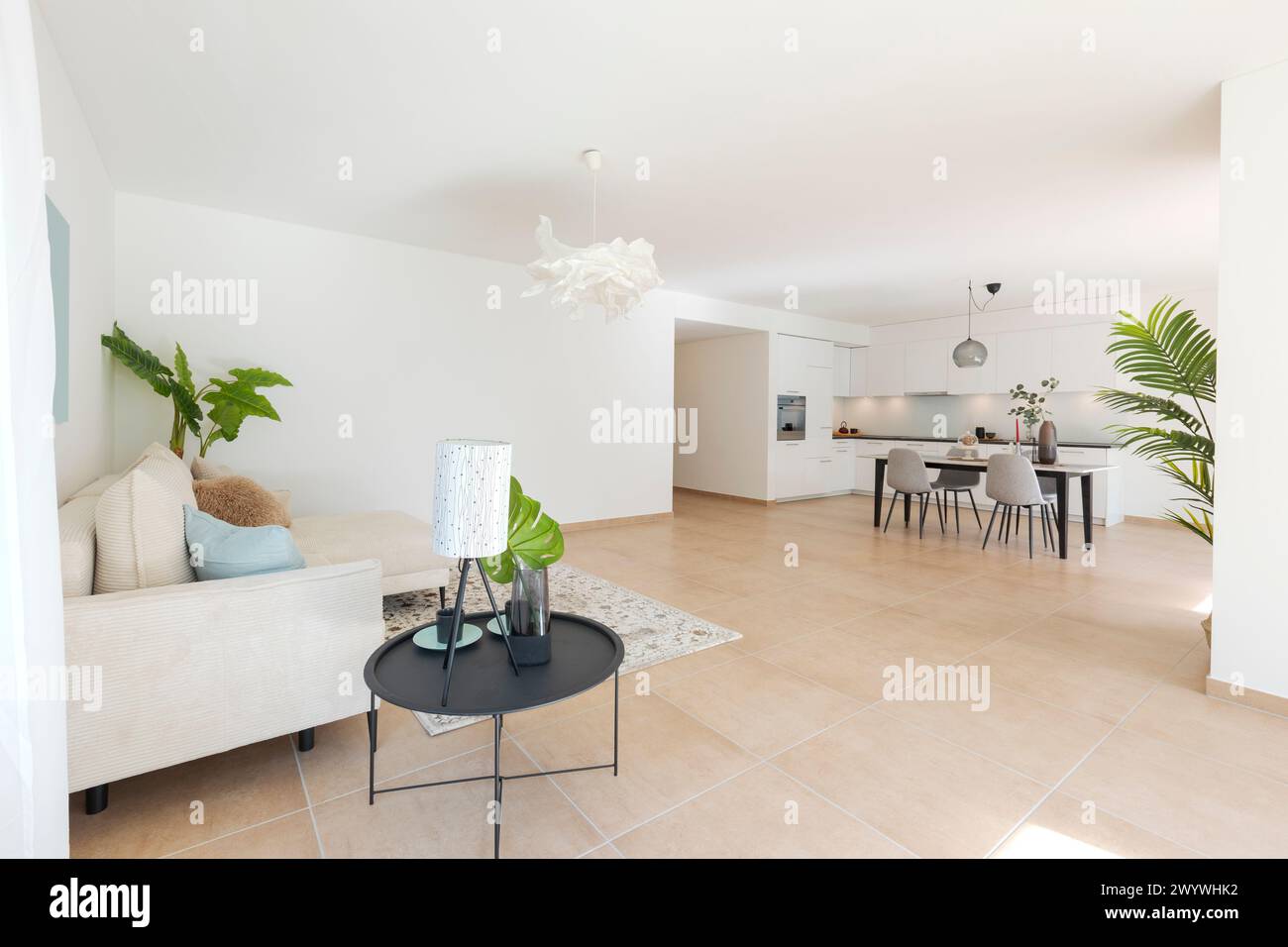 Open space con soggiorno, cucina e sala da pranzo. Spazio accogliente con divano tavolo e sedie per mangiare al tavolo. E' un appartamento moderno. Foto Stock