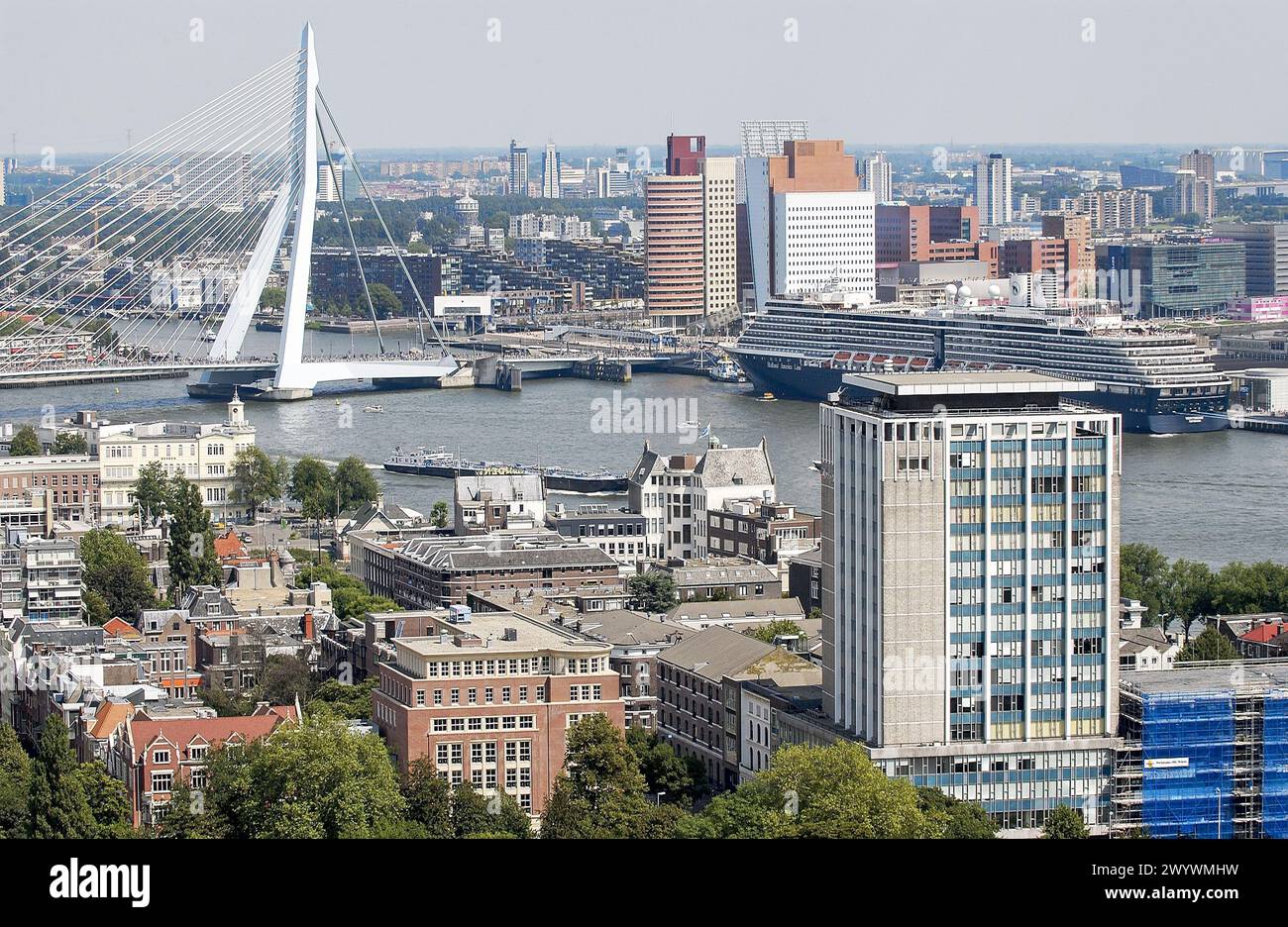 Ponte Erasmus sul fiume Nieuwe Maas. Rotterdam. Paesi Bassi. Foto Stock