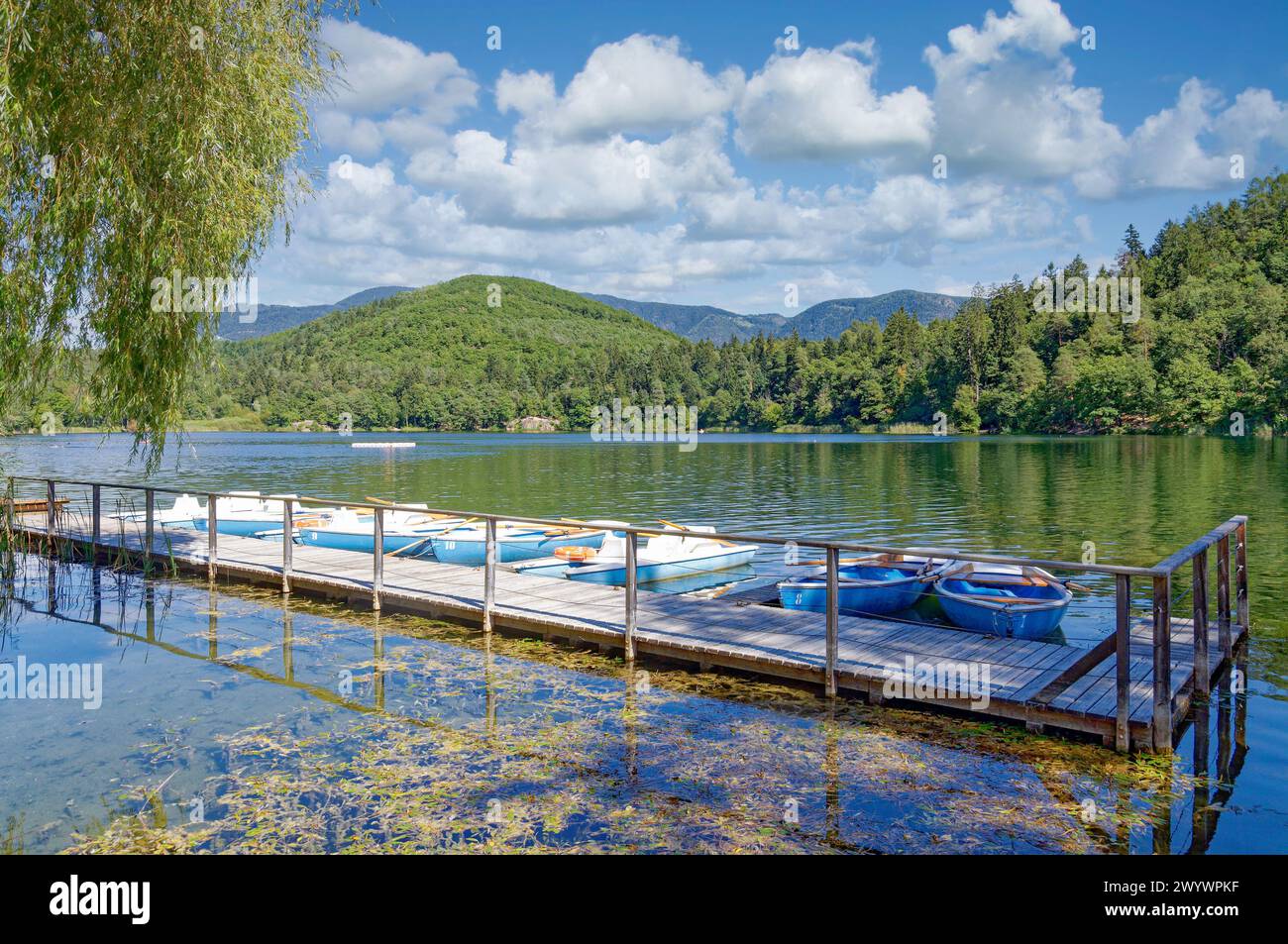 Large Lake Montiggler resp. Lago di Monticolo vicino a Eppan (Appiano) e Caldaro an der Weinstrasse, alto Adige, Italia Foto Stock