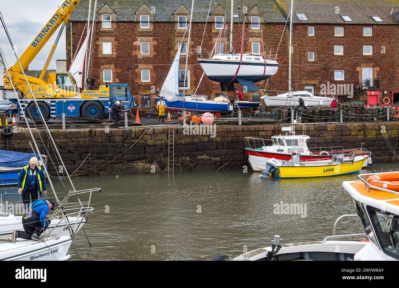 Gru che solleva la barca a vela in acqua, porto di North Berwick, East Lothian, Scozia, Regno Unito Foto Stock