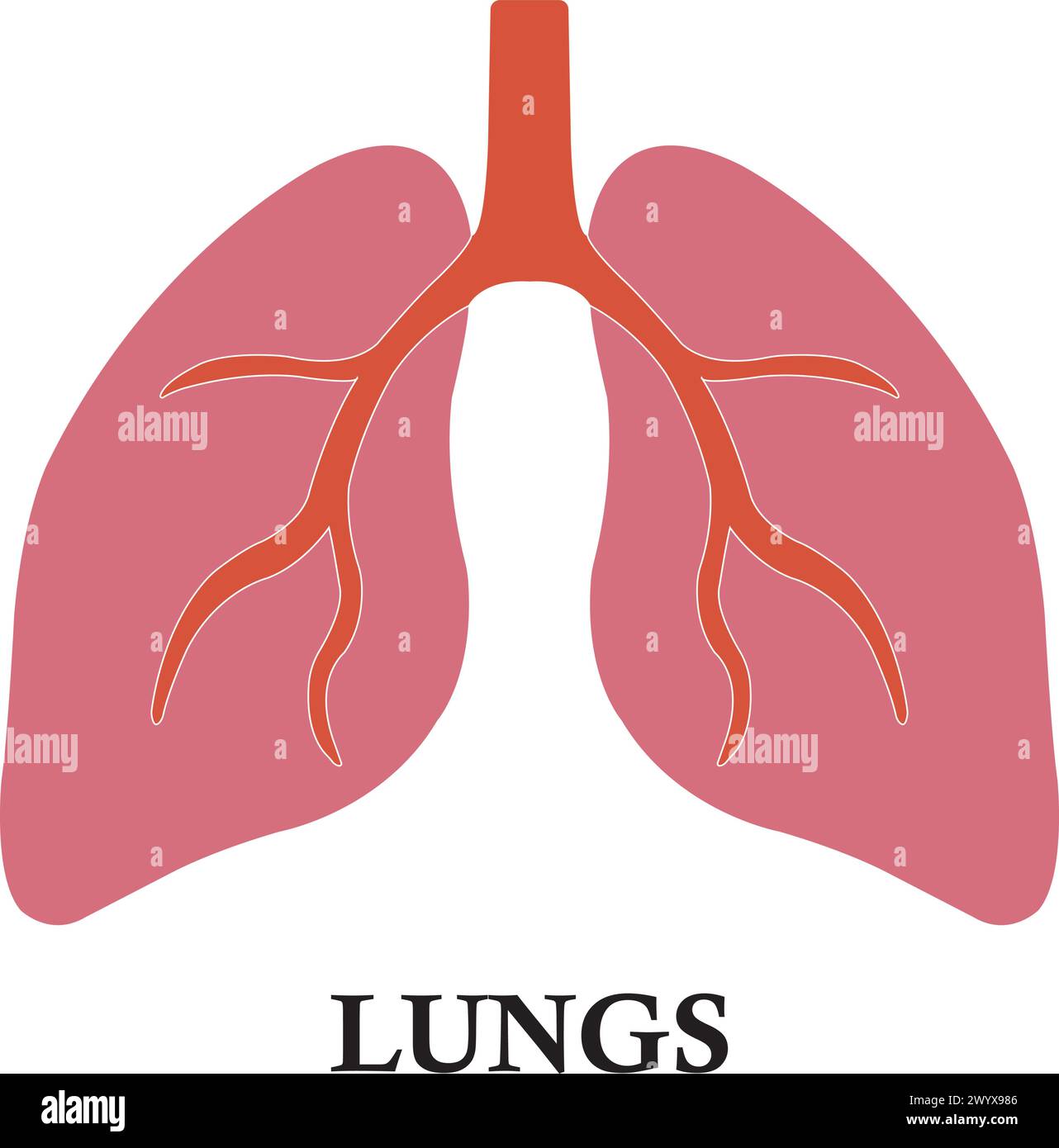 Disegno del simbolo dell'icona del polmone Illustrazione Vettoriale
