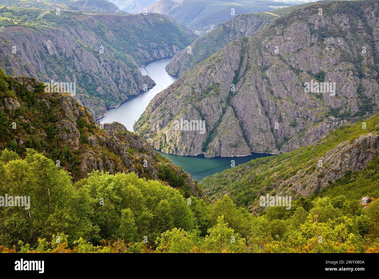 Canyon del fiume SIL, Mirador de Cabezoás, Ribeira Sacra, Parada de Sil, Ourense, Galizia, Spagna. Foto Stock