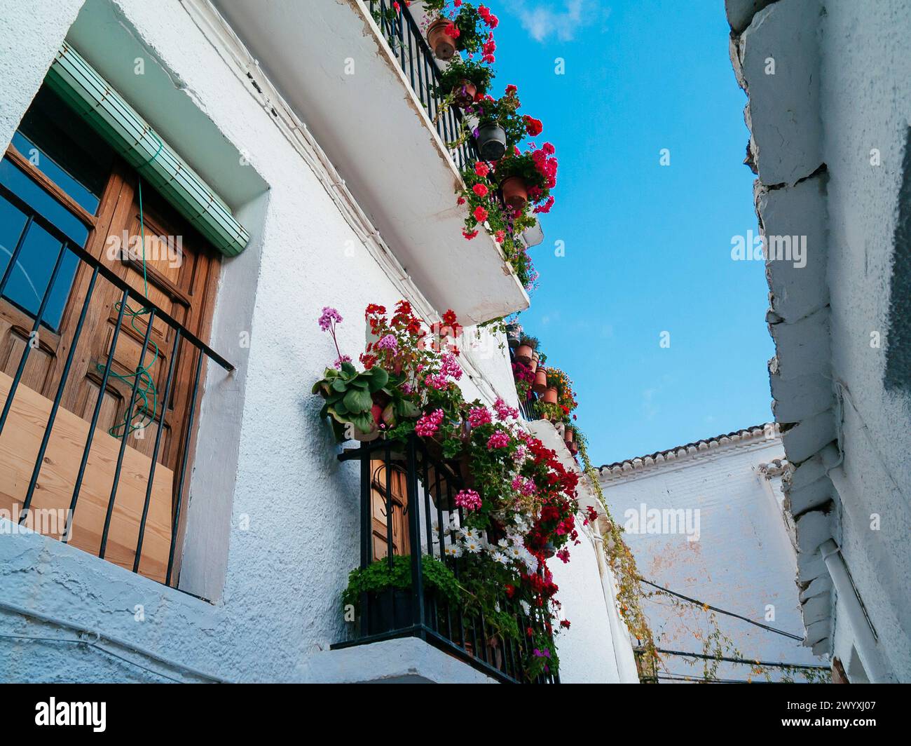 Balcone decorato con vasi di fiori. Capileira, Las Alpujarras, Granada, Andalucía, Spagna, Europa Foto Stock