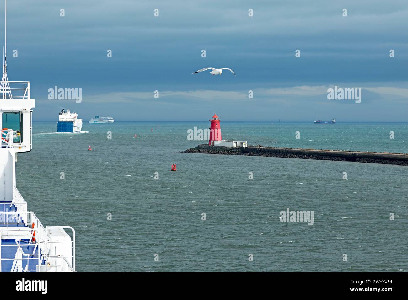 Traghetti, gabbiano volante, faro, ingresso al porto, Dublino, Repubblica d'Irlanda Foto Stock