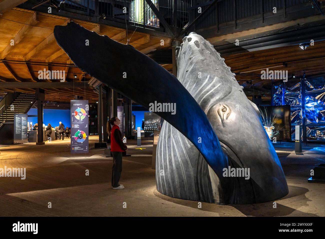 Mostra Plante Ozean nel Gasometer di Oberhausen, gli oceani nella loro fragile bellezza sono al centro della nuova mostra, foto di grande formato, e Foto Stock