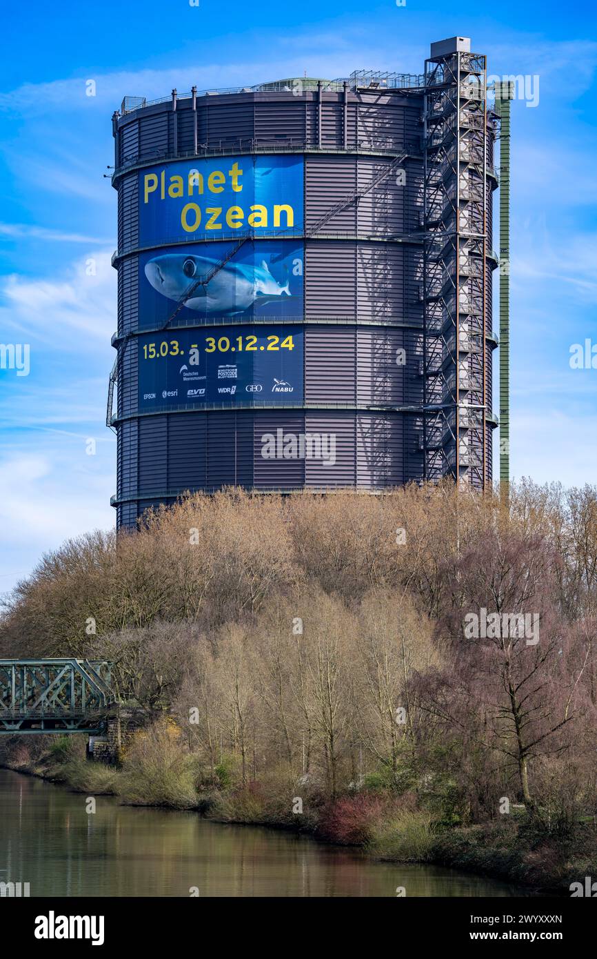 Mostra Plante Ozean nel Gasometer di Oberhausen, gli oceani del mondo nella loro fragile bellezza sono al centro della nuova mostra, grande formato p Foto Stock