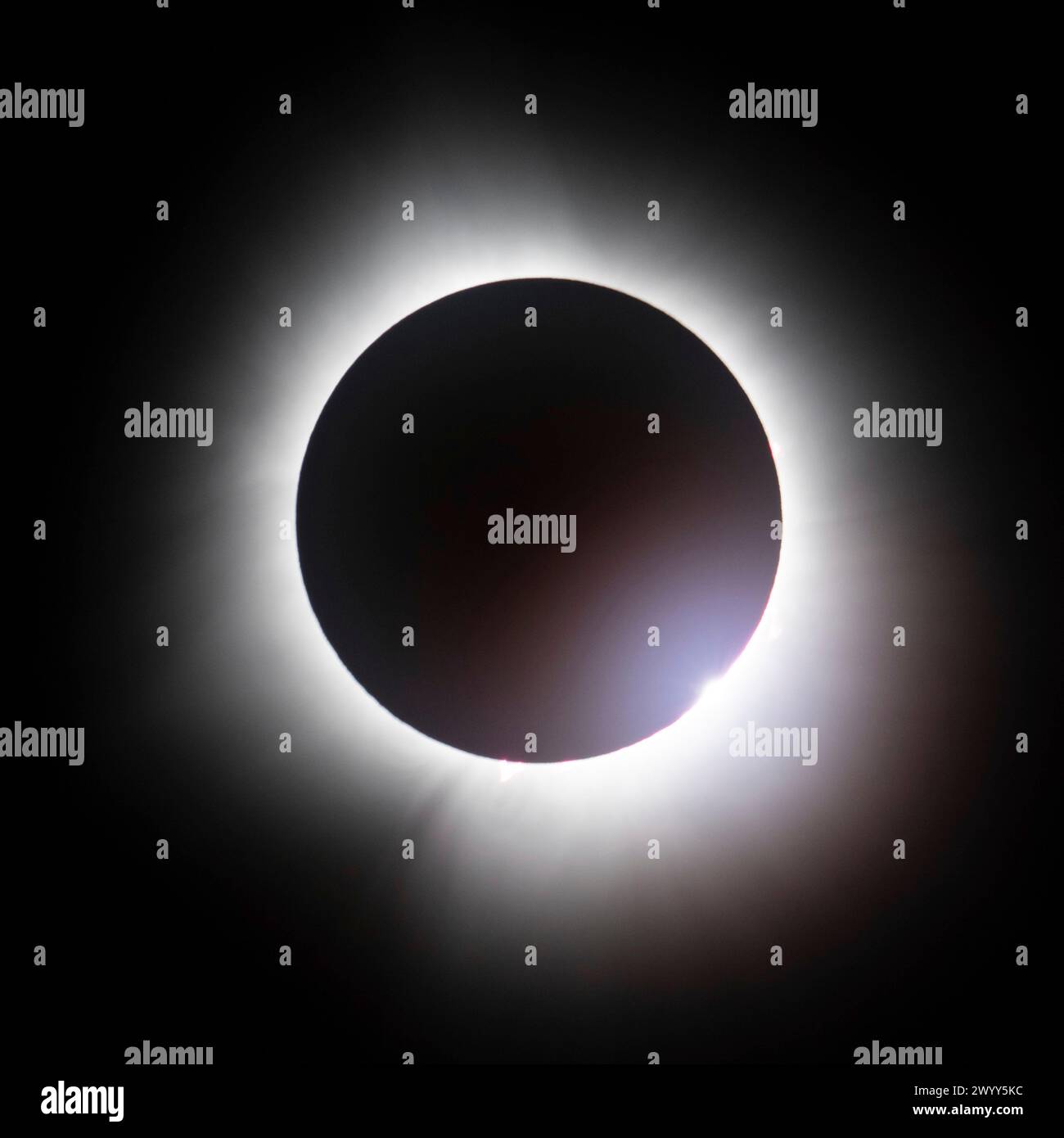 Indianapolis, Stati Uniti d'America. 8 aprile 2024. Indianapolis, Stati Uniti d'America. 8 aprile 2024. La Luna copre completamente la parte anteriore del Sole durante un'eclissi solare totale osservata dall'Indianapolis Motor Speedway, 8 aprile 2024, a Indianapolis, Indiana. Un'eclissi solare totale ha attraversato una stretta porzione del continente nordamericano dal Messico alla costa atlantica di Terranova, in Canada. Crediti: Joel Kowsky/NASA/Alamy Live News Foto Stock