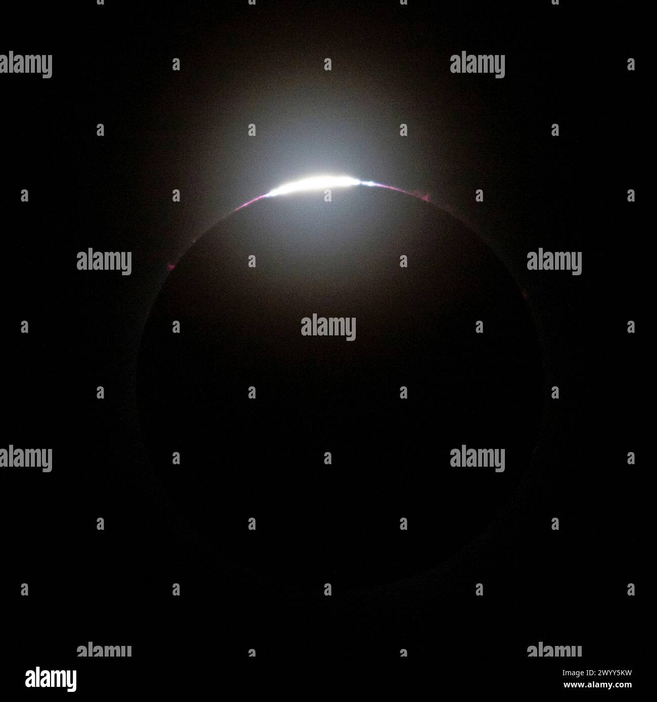 Indianapolis, Stati Uniti d'America. 8 aprile 2024. Indianapolis, Stati Uniti d'America. 8 aprile 2024. La Luna copre completamente la parte anteriore del Sole durante un'eclissi solare totale osservata dall'Indianapolis Motor Speedway, 8 aprile 2024, a Indianapolis, Indiana. Un'eclissi solare totale ha attraversato una stretta porzione del continente nordamericano dal Messico alla costa atlantica di Terranova, in Canada. Crediti: Joel Kowsky/NASA/Alamy Live News Foto Stock