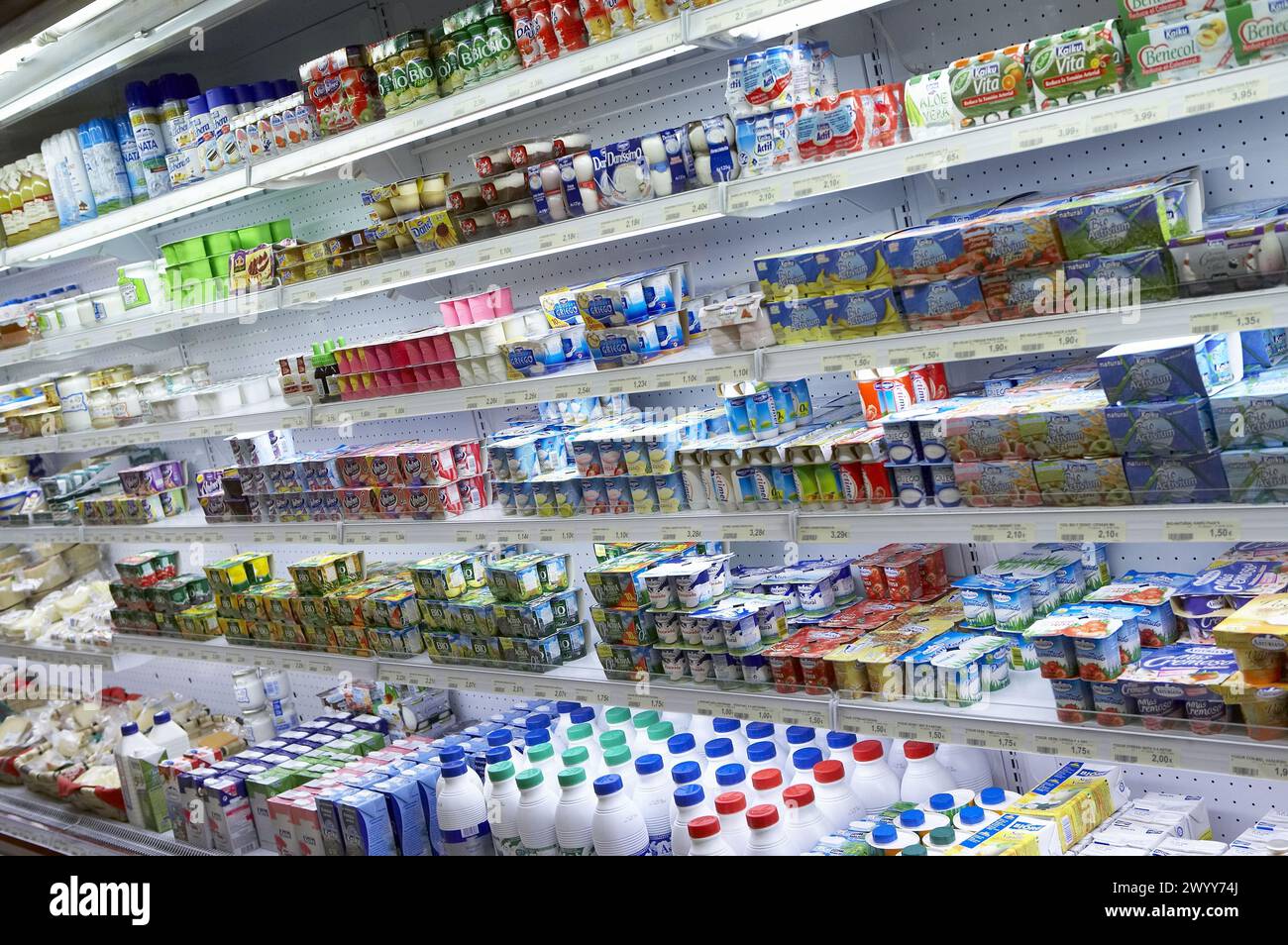 Yogurt. San Sebastian, Donostia, Gipuzkoa, Euskadi. Spagna. Foto Stock