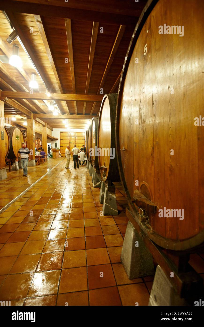 Casa del sidro, Aduna, Gipuzkoa, Euskadi, Spagna. Foto Stock