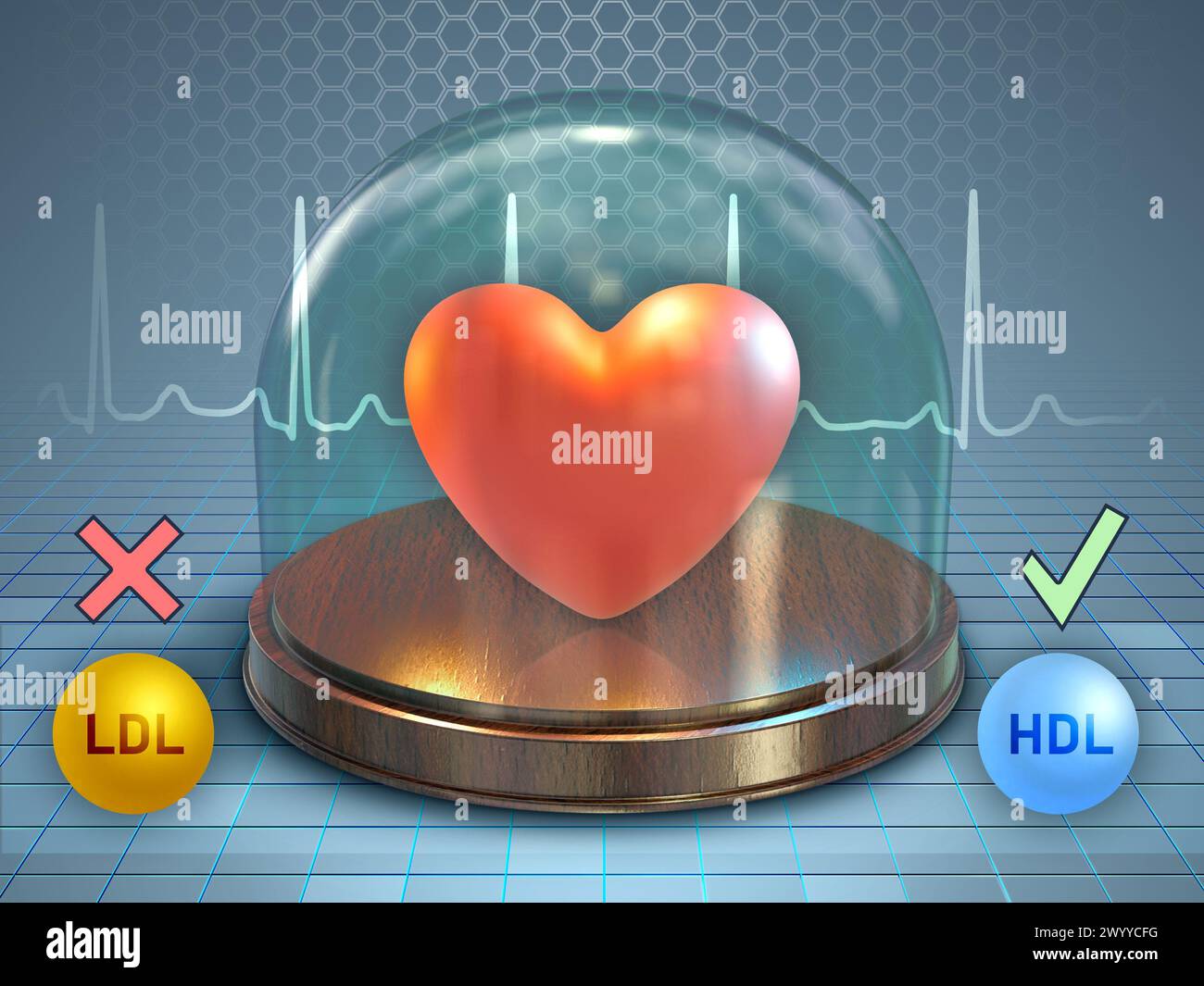 Cuore umano conservato in una cupola di vetro. Effetti positivi e negativi del colesterolo LDL e HLD sulla salute cardiovascolare. Illustrazione digitale, rendering 3D. Foto Stock