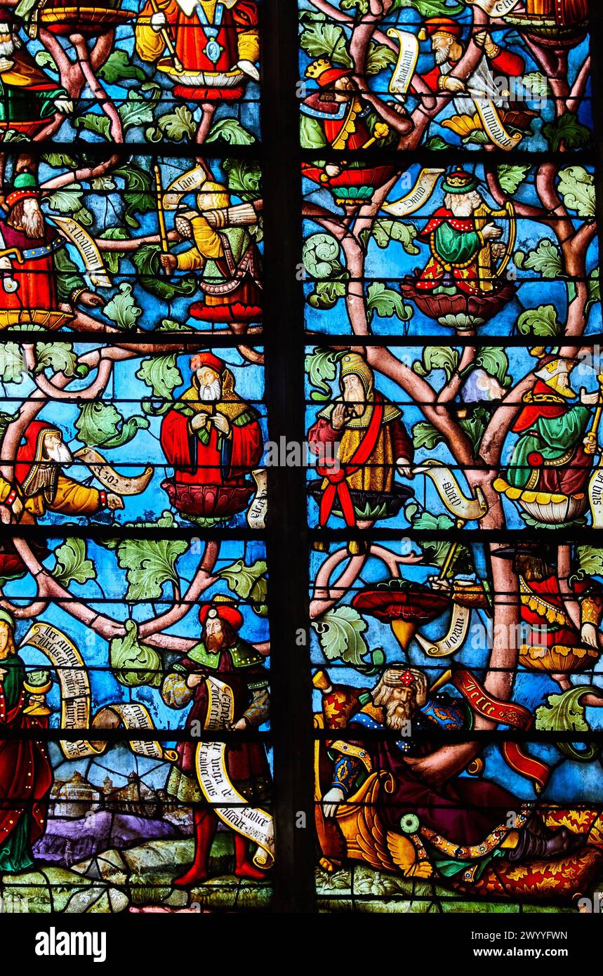 Vetrate colorate, chiesa di Sainte-Madeleine, Troyes, regione Champagne-Ardenne, dipartimento Aube, Francia, Europa. Foto Stock