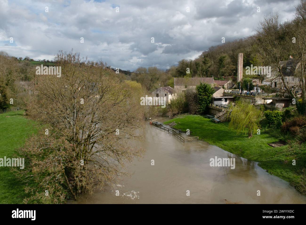 Il fiume Avon ad Avoncliff, Wiltshire, Inghilterra, Regno Unito Foto Stock