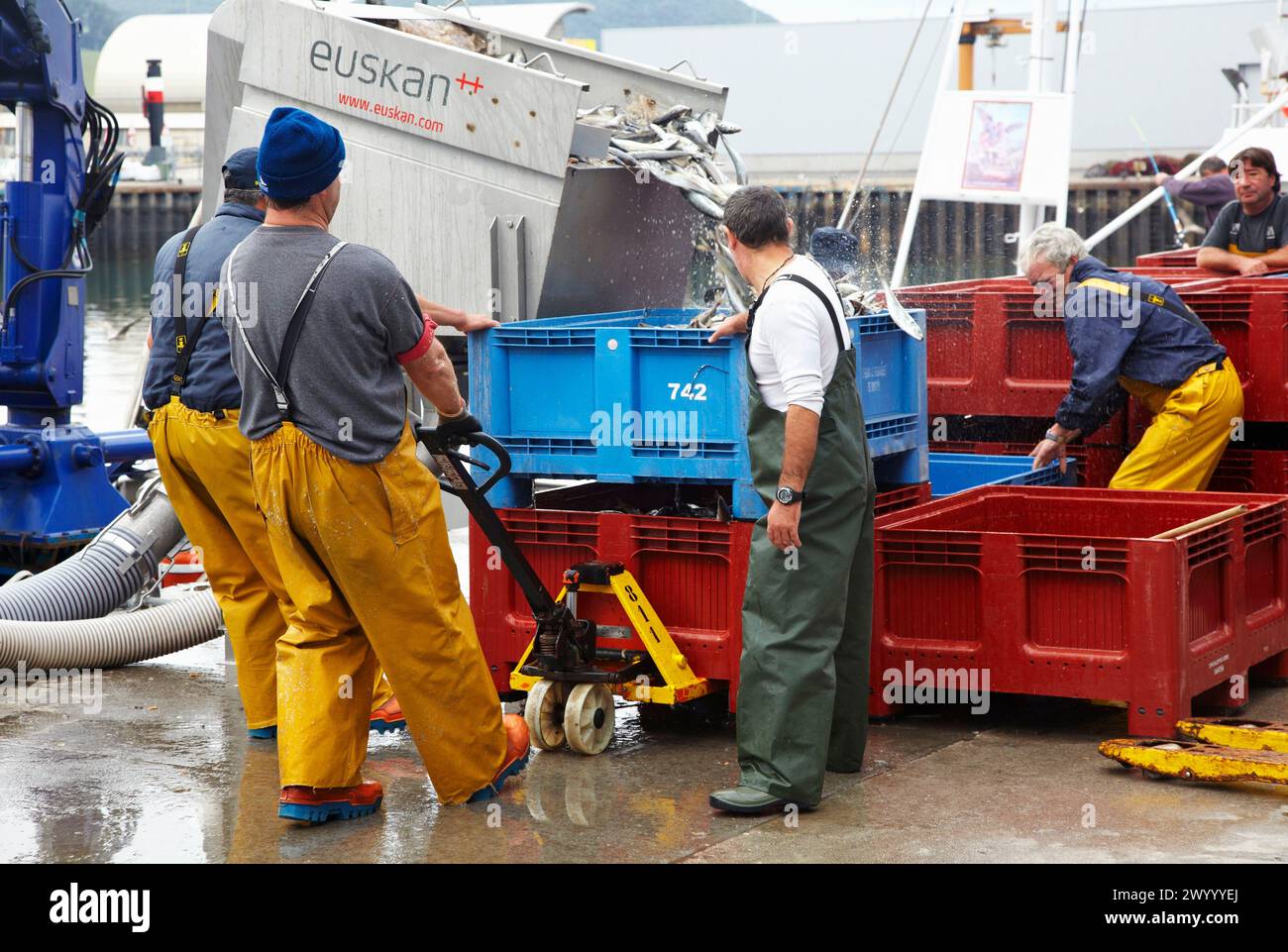 Scarico del pesce dalla barca al porto con una pompa di aspirazione, Santoña, Cantabria, Spagna. Foto Stock