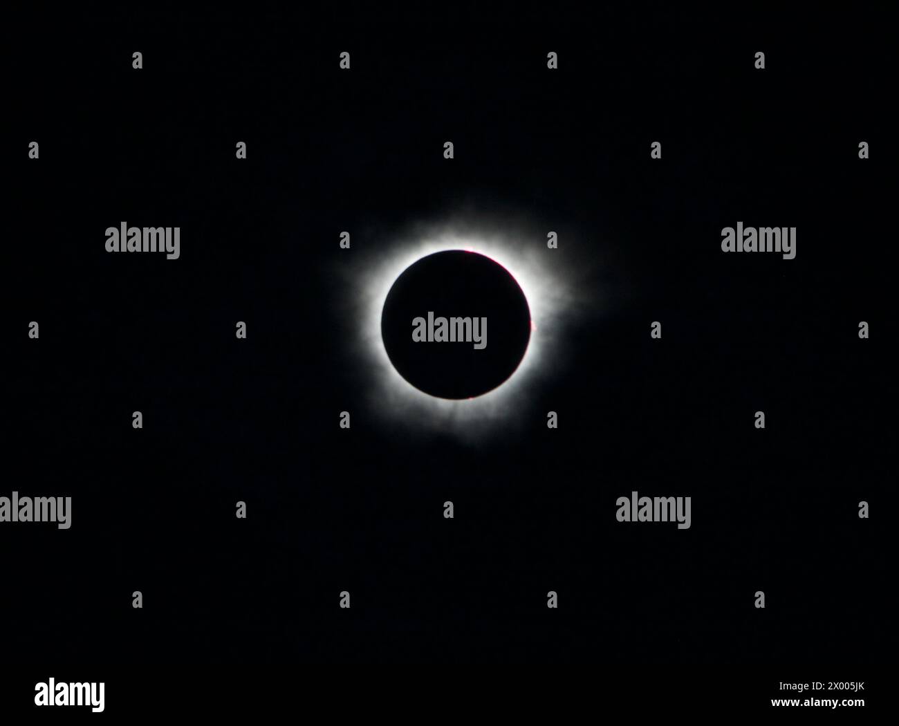 corona intorno al sole in un'eclissi solare totale in Texas l'8 aprile 2024 con lampi che mostrano Foto Stock