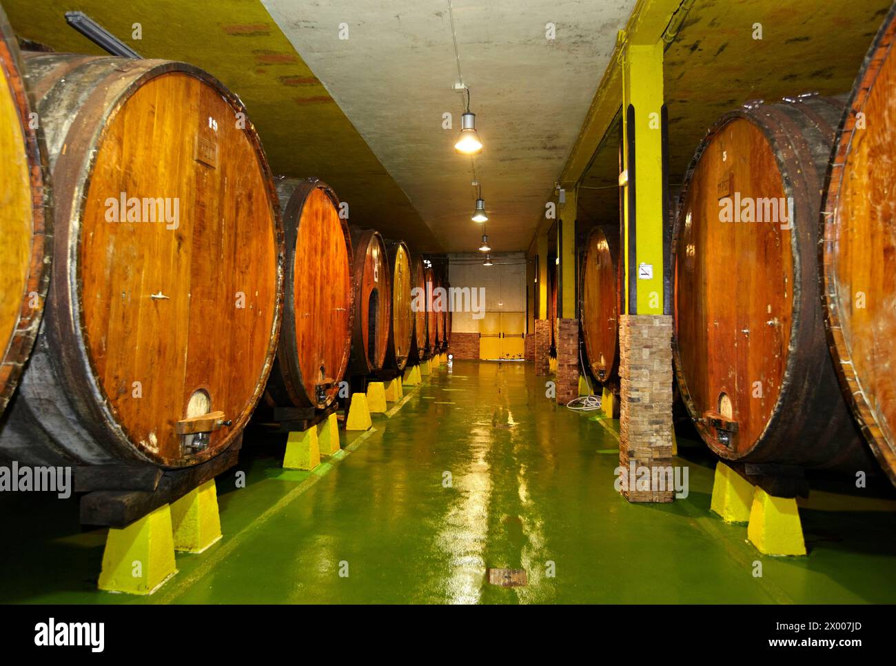 Botti di «Kupela», Petritegi tipica casa di sidro («sagardotegi»), Astigarraga, Gipuzkoa, Euskadi, Spagna. Foto Stock