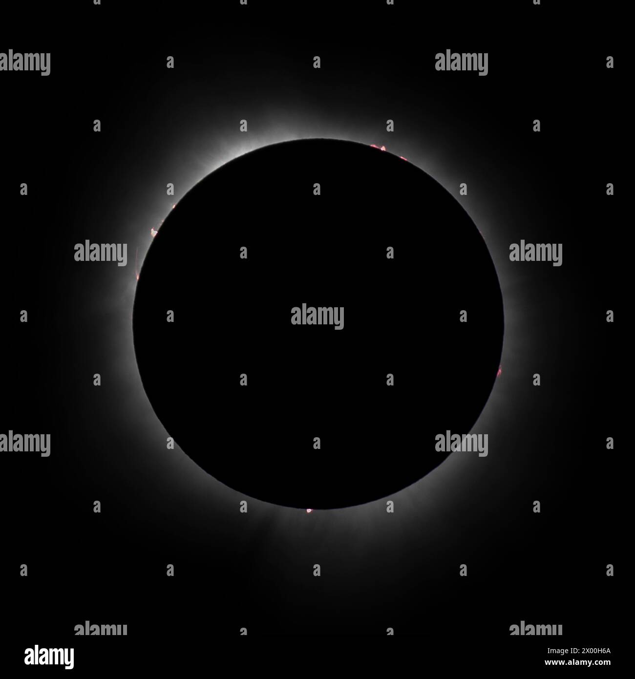 8 aprile 2024: Vincennes, Illinois - Una vista della corona del Sole e delle perle di Bailey durante un'eclissi solare totale dal George Rogers Clark National Historical Park a Vincennes, il Mike Wulf/CSM Foto Stock