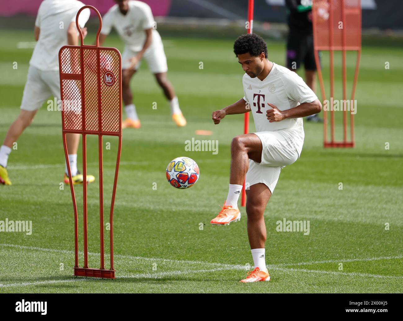 Monaco, Germania. 8 aprile 2024. Serge Gnabry del Bayern Monaco partecipa ad una sessione di allenamento in preparazione per la partita di andata dei quarti di finale di UEFA Champions League contro l'Arsenal a Monaco, Germania, 8 aprile 2024. Crediti: Philippe Ruiz/Xinhua/Alamy Live News Foto Stock