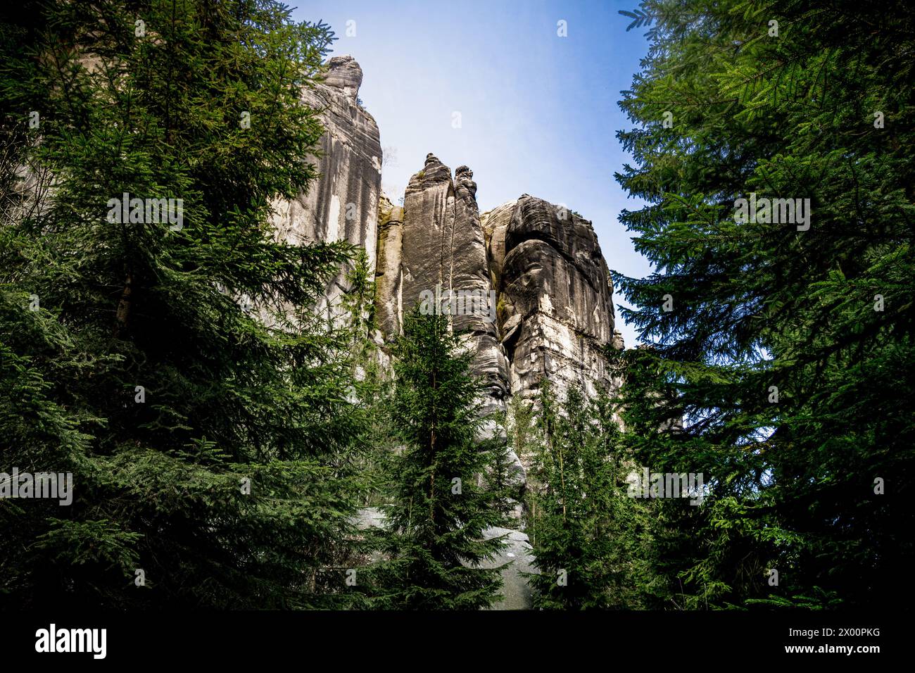 Formazione rocciosa torreggiante circondata da alberi Foto Stock