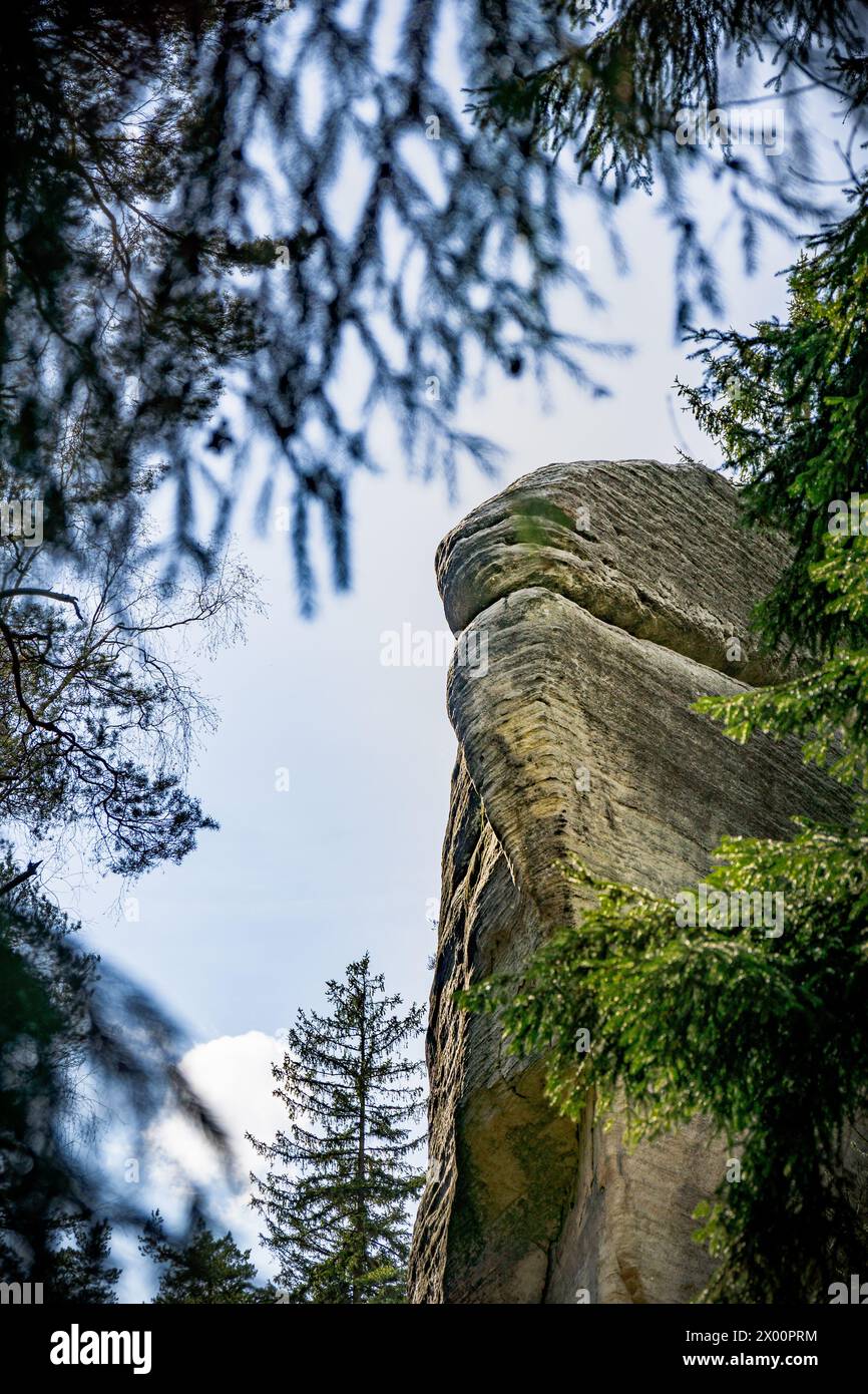 Large Rock in mezzo alla foresta nella formazione rocciosa Adrspach Teplice Foto Stock