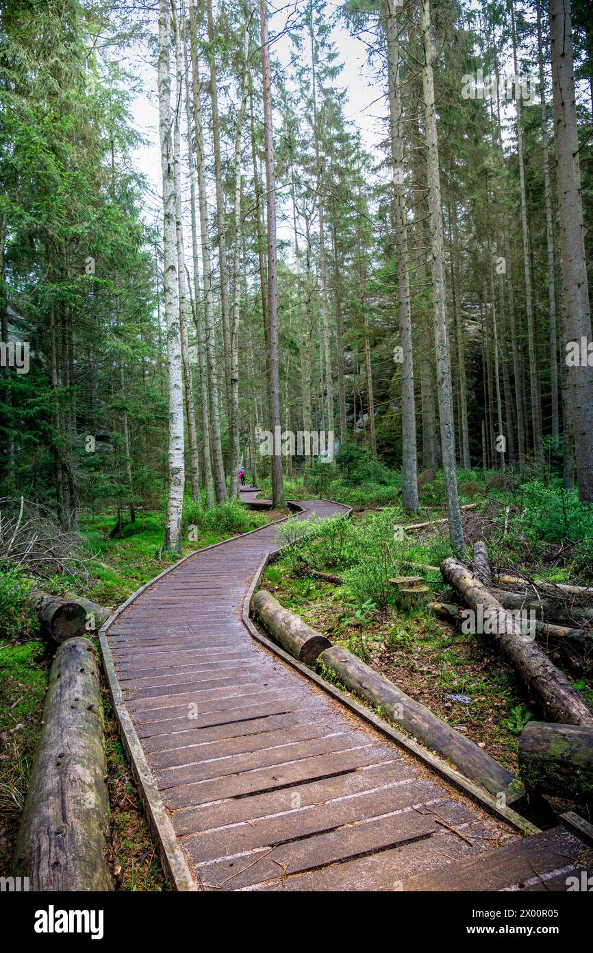 Sentiero in legno attraverso la Foresta rocciosa di Adrspach Teplice Foto Stock
