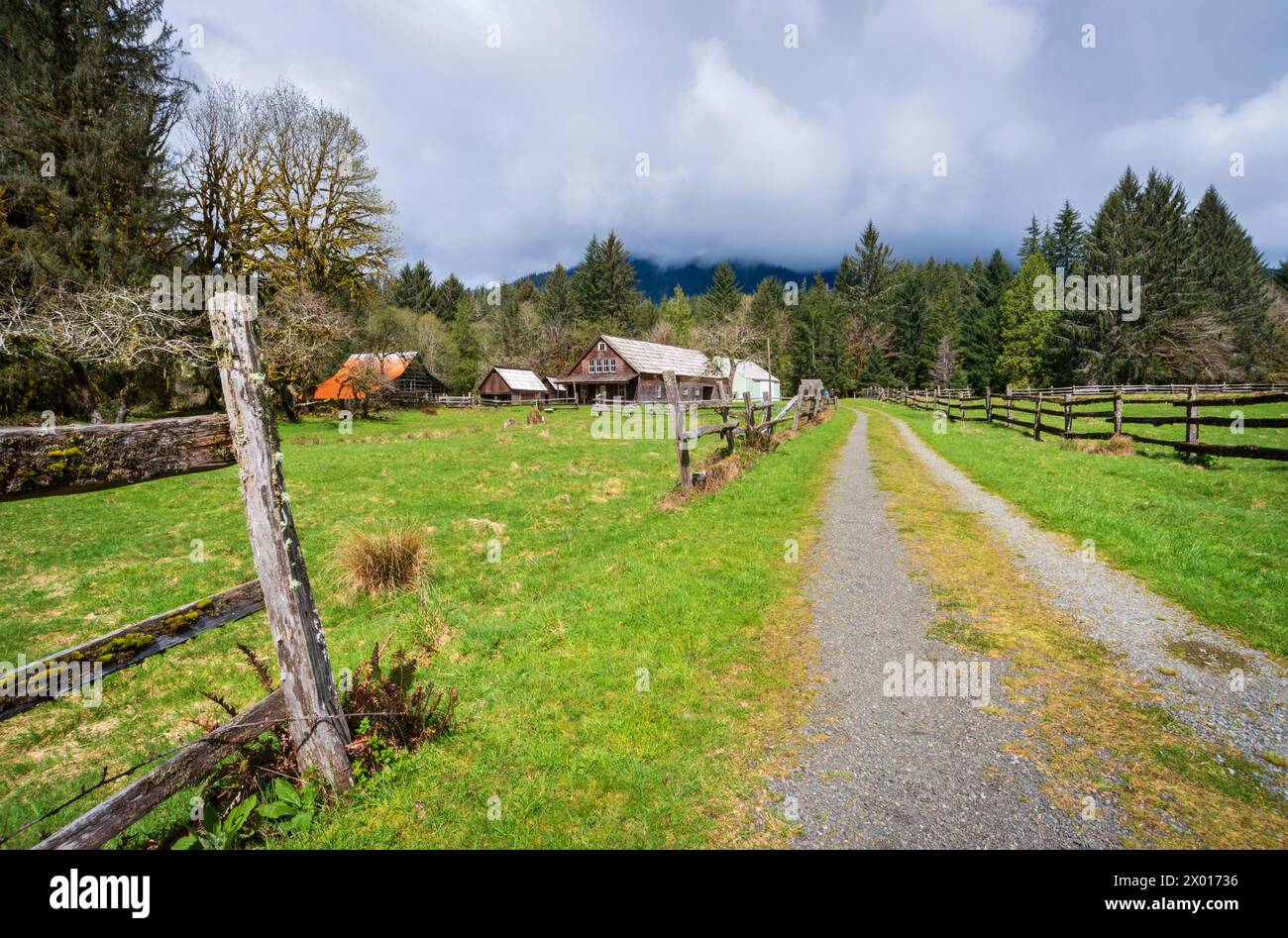 La storica fattoria Kestner Homestead nell'area della Quinault Rain Forest dell'Olympic National Park, Washington State, USA Foto Stock