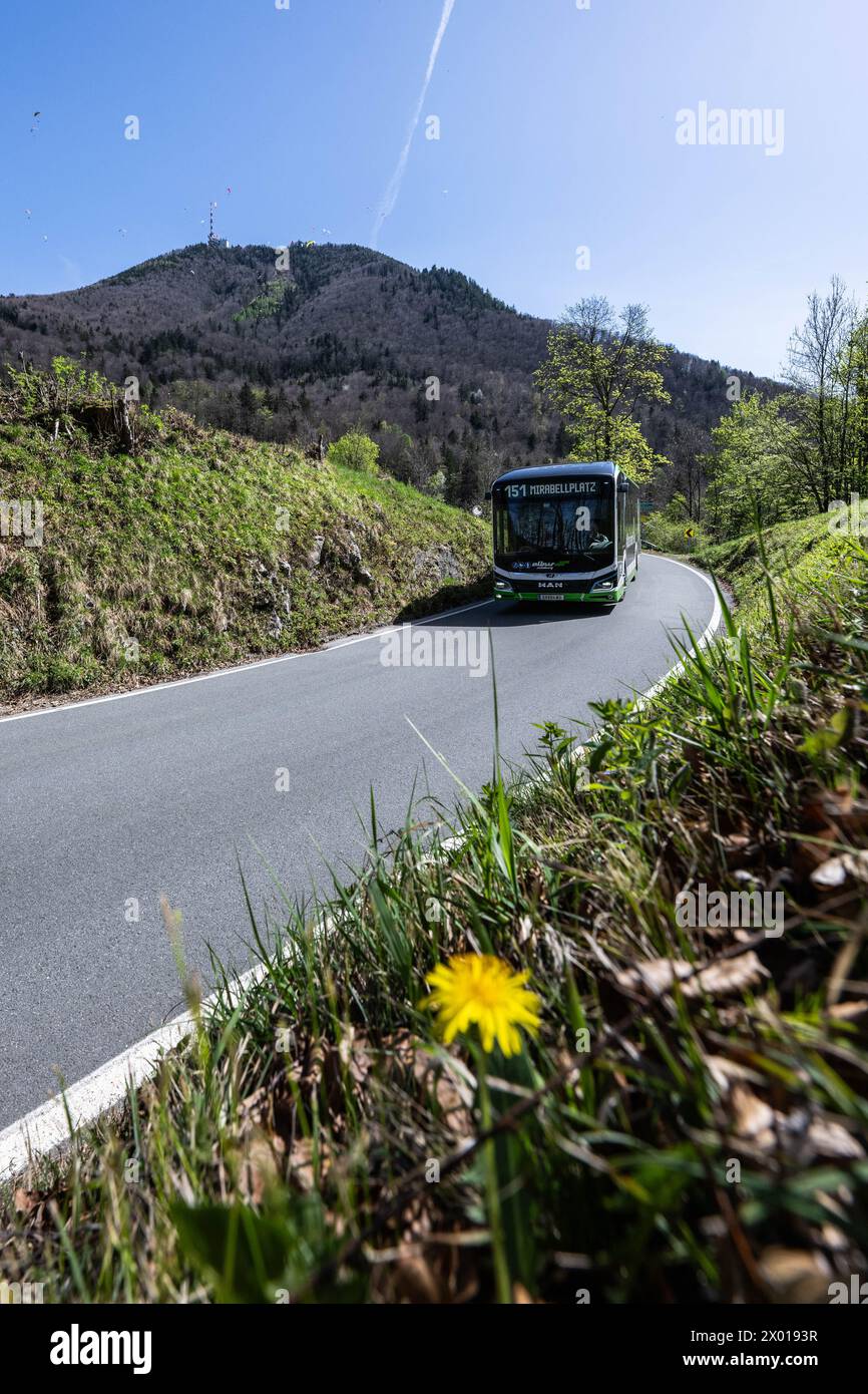 Der Gaisbergbus auf der Gaisbergstraße (stazione Gersbergalm) a Salisburgo in Frühling am 07.04.2024. // il Gaisbergbus sulla Gaisbergstrasse a Salisburgo in primavera il 7 aprile 2024. - 20240407 PD11078 credito: APA-PictureDesk/Alamy Live News Foto Stock
