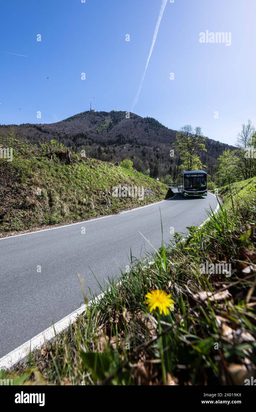 Der Gaisbergbus auf der Gaisbergstraße (stazione Gersbergalm) a Salisburgo in Frühling am 07.04.2024. // il Gaisbergbus sulla Gaisbergstrasse a Salisburgo in primavera il 7 aprile 2024. - 20240407 PD11086 credito: APA-PictureDesk/Alamy Live News Foto Stock
