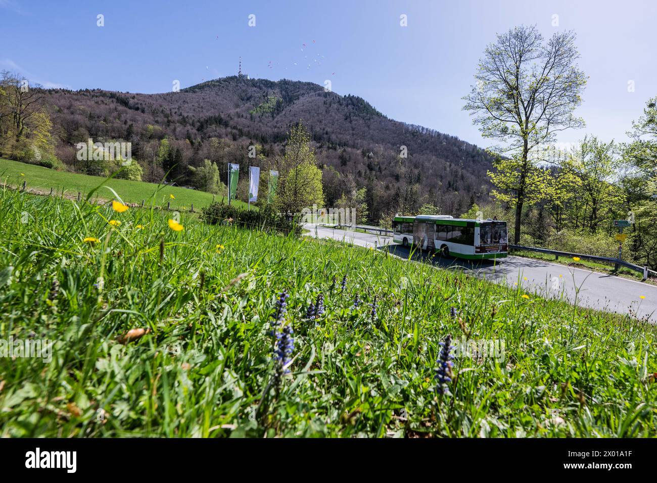 Der Gaisbergbus auf der Gaisbergstraße (stazione Gersbergalm) a Salisburgo in Frühling am 07.04.2024. // il Gaisbergbus sulla Gaisbergstrasse a Salisburgo in primavera il 7 aprile 2024. - 20240407 PD10911 credito: APA-PictureDesk/Alamy Live News Foto Stock