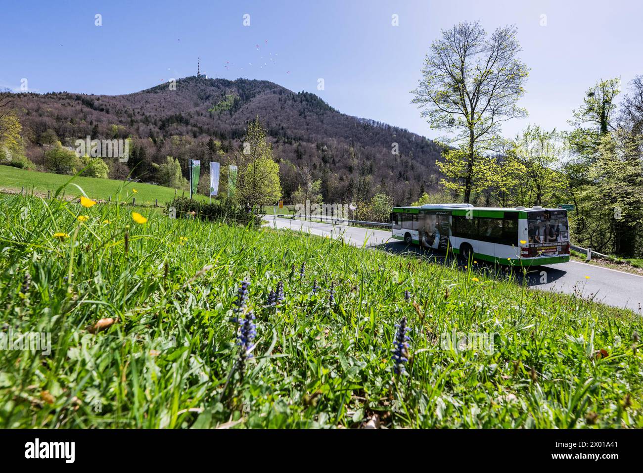 Der Gaisbergbus auf der Gaisbergstraße (stazione Gersbergalm) a Salisburgo in Frühling am 07.04.2024. // il Gaisbergbus sulla Gaisbergstrasse a Salisburgo in primavera il 7 aprile 2024. - 20240407 PD10903 credito: APA-PictureDesk/Alamy Live News Foto Stock