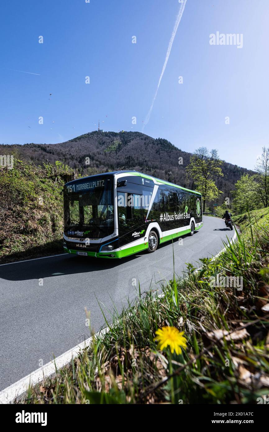 Der Gaisbergbus auf der Gaisbergstraße (stazione Gersbergalm) a Salisburgo in Frühling am 07.04.2024. // il Gaisbergbus sulla Gaisbergstrasse a Salisburgo in primavera il 7 aprile 2024. - 20240407 PD10893 credito: APA-PictureDesk/Alamy Live News Foto Stock