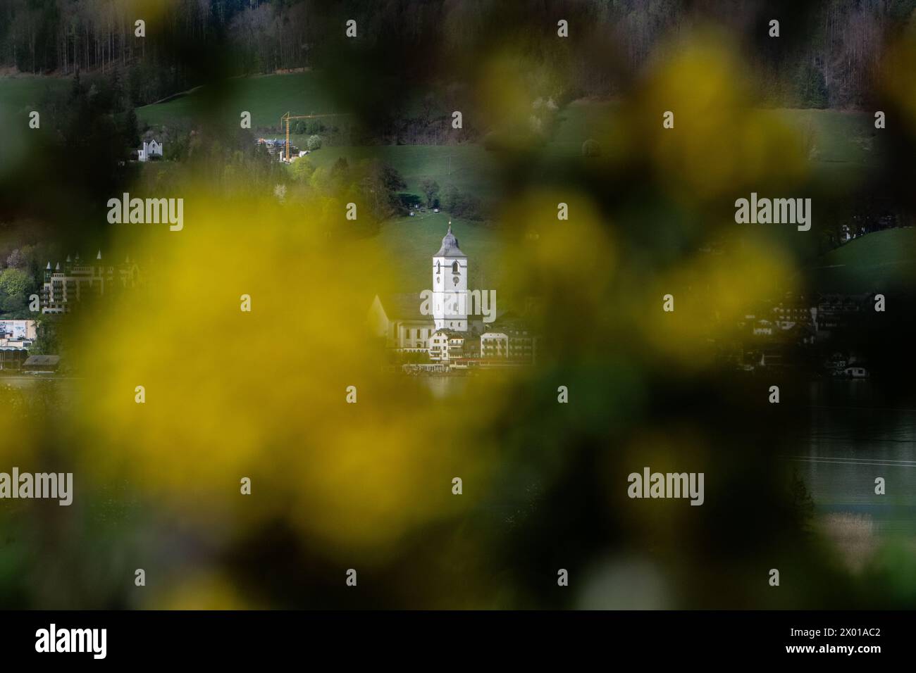 Blühende Obstbäume rund um den Wolfgangsee im Salzburger und Oberösterreichischen Salzkammergut im Frühling AM 07.04.2024. // alberi da frutto in fiore intorno al lago Wolfgangsee nel Salzkammergut di Salisburgo e dell'Austria superiore in primavera il 7 aprile 2024. - 20240407 PD10883 credito: APA-PictureDesk/Alamy Live News Foto Stock